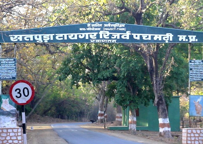 satpura tiger reserve opened