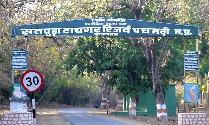 satpura tiger reserve opened