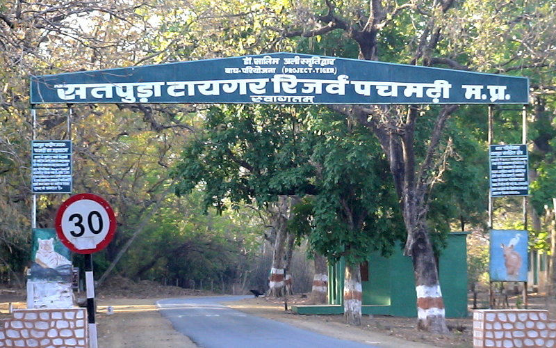 satpura tiger reserve opened